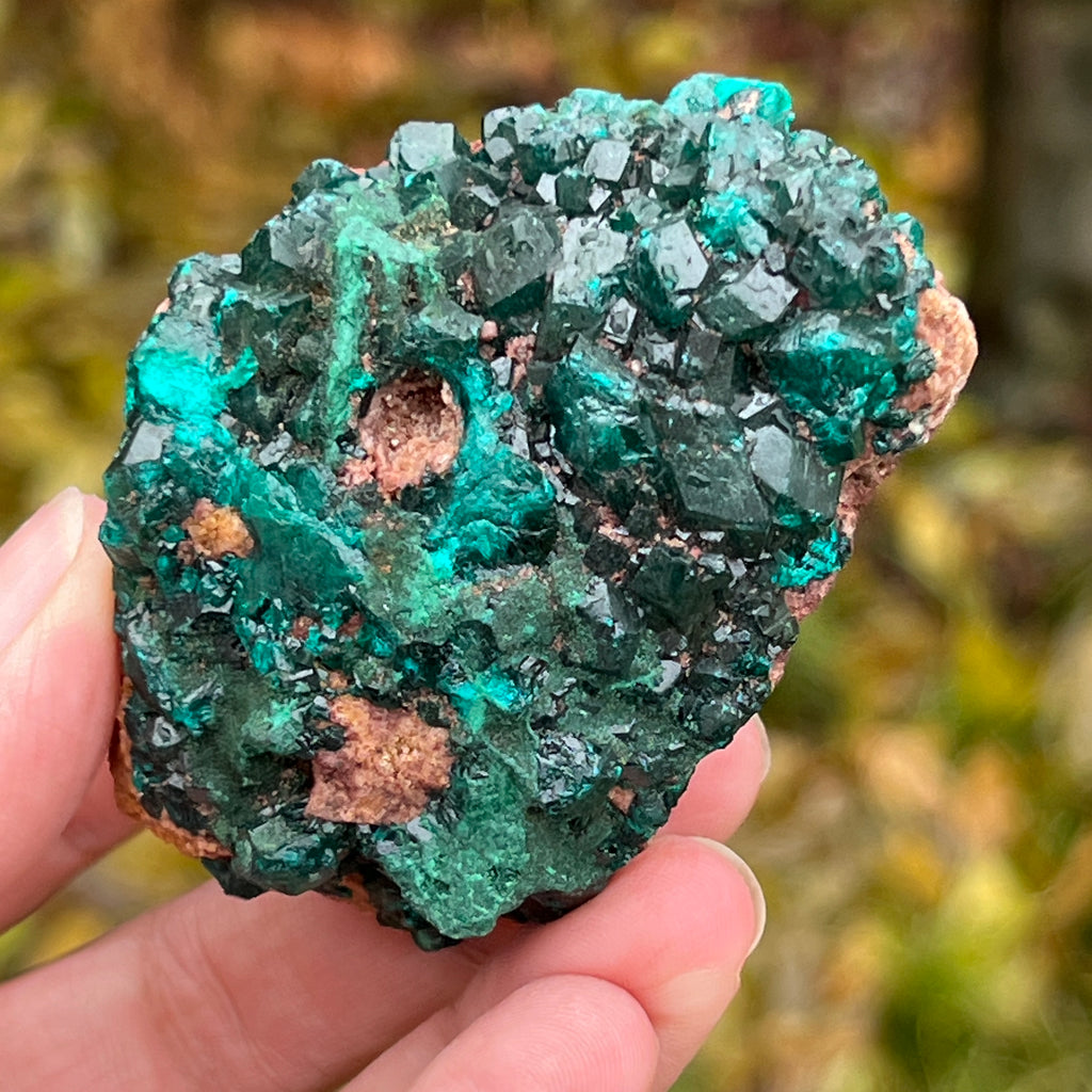 Dioptaz cluster din Congo model 12, pietre semipretioase - druzy.ro 15 