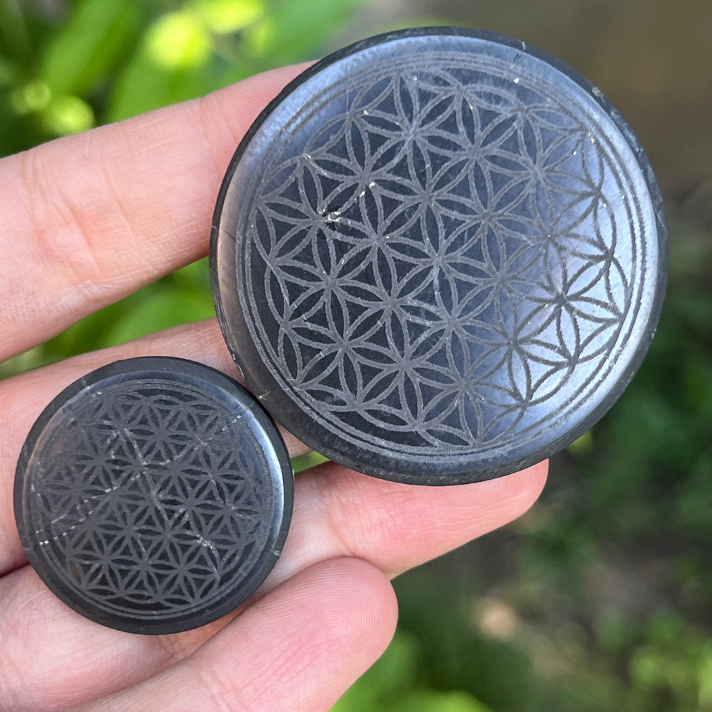 Disc din Shungit adeziv Flower of Life, pietre semipretioase - druzy.ro 2 