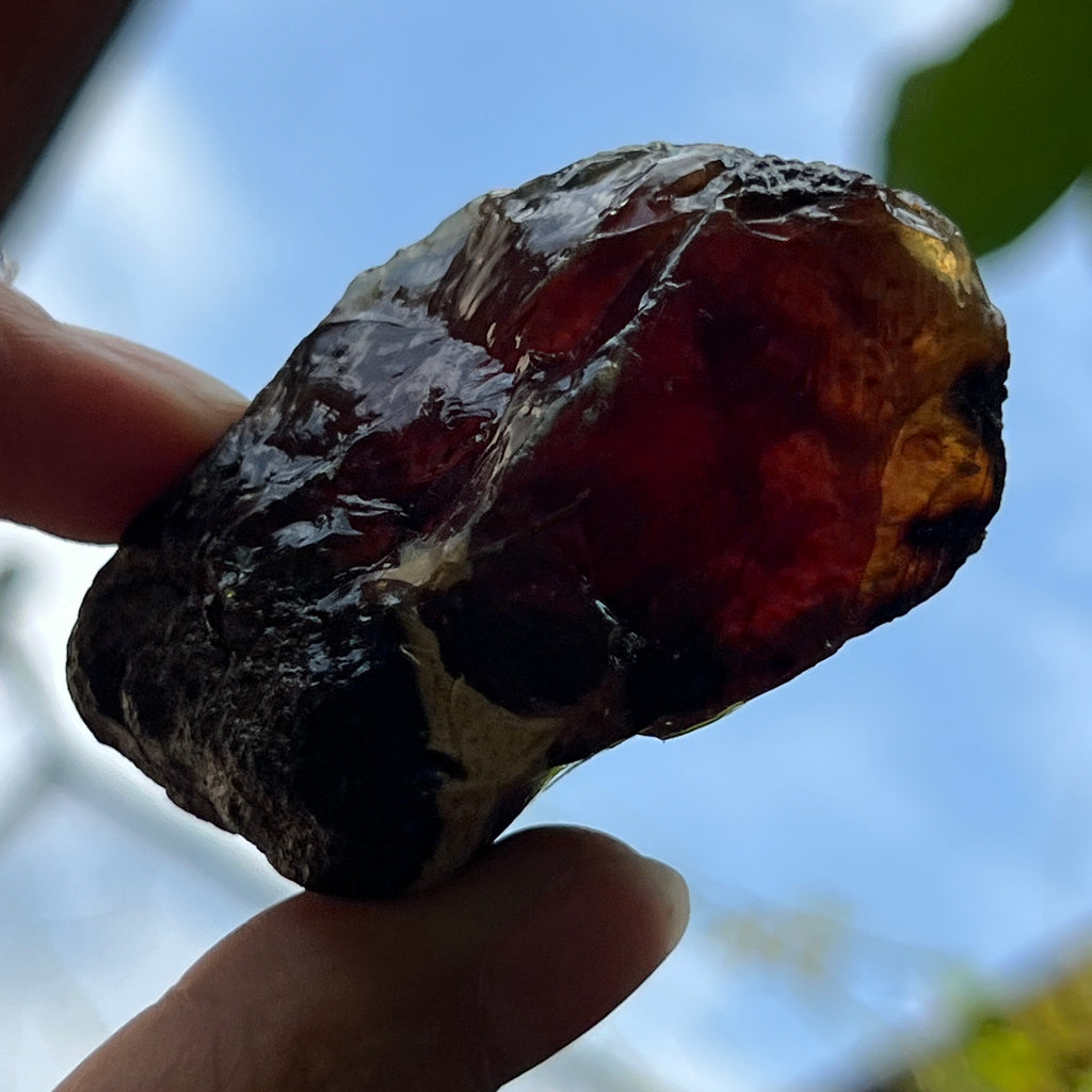 Chihlimbar fosil din Indonezia – Rășină naturală | Model 8, pietre semipretioase - druzy.ro 3 