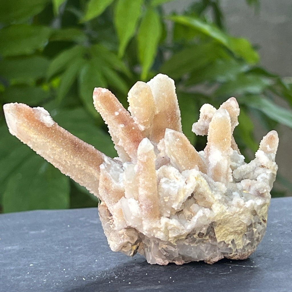 Cluster cuart spirit stalactit | Model 3, pietre semipretioase - druzy.ro 2 