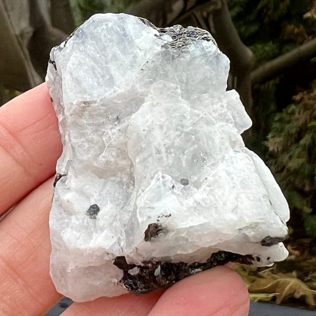 Piatra lunii cu insertii turmalina -piatra bruta m6, druzy.ro, cristale 2