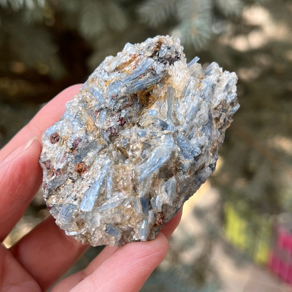 Kianit albastru (Cianit) piatra bruta din Zimbabwe model 5, druzy.ro, cristale 1