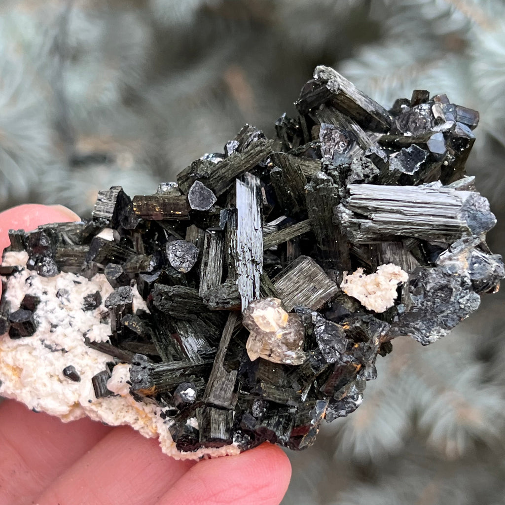 Cluster turmalina neagra model 5 din Erongo, Namibia, druzy.ro, cristale 4