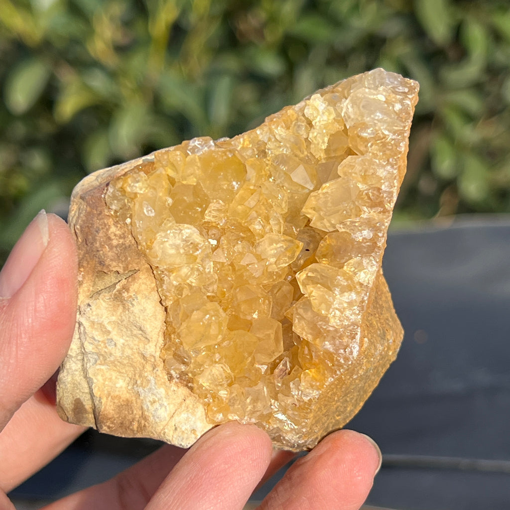 Cluster cuart lamaie Zambia, golden healer model 48, pietre semipretioase - druzy.ro 3 