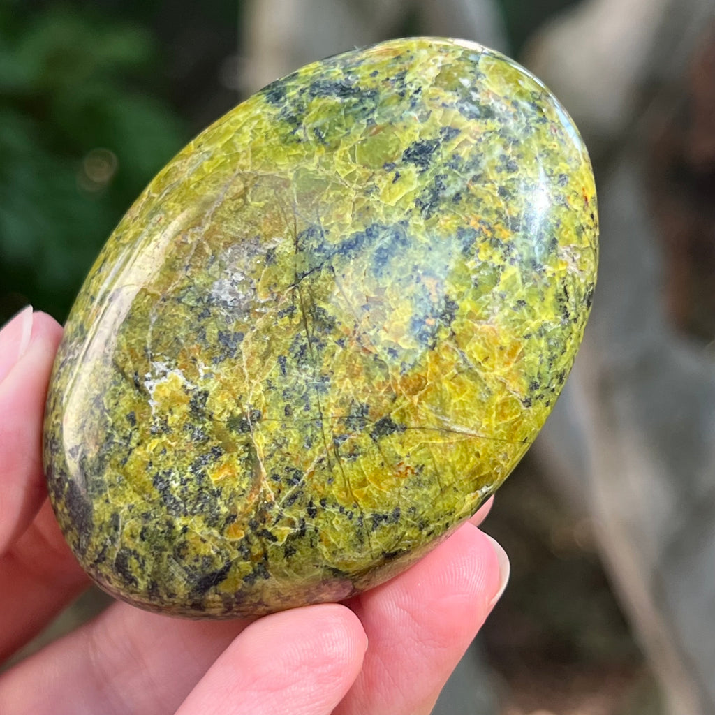 Opal verde palmstone m10, pietre semipretioase - druzy.ro 2 