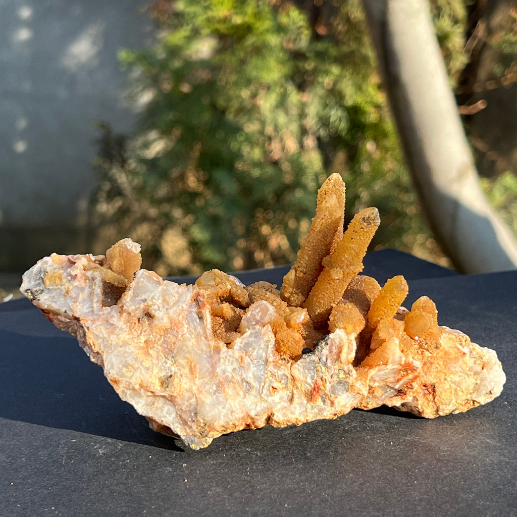 Cluster cuart lamaie, golden healer 4A/3, Africa de Sud, druzy.ro, cristale 2