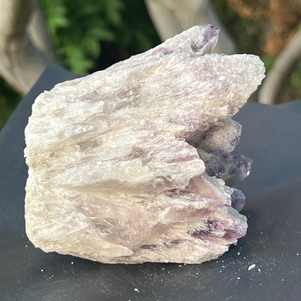 Cluster ametist sweet model 5a/9, din Zambia, pietre semipretioase - druzy.ro 6