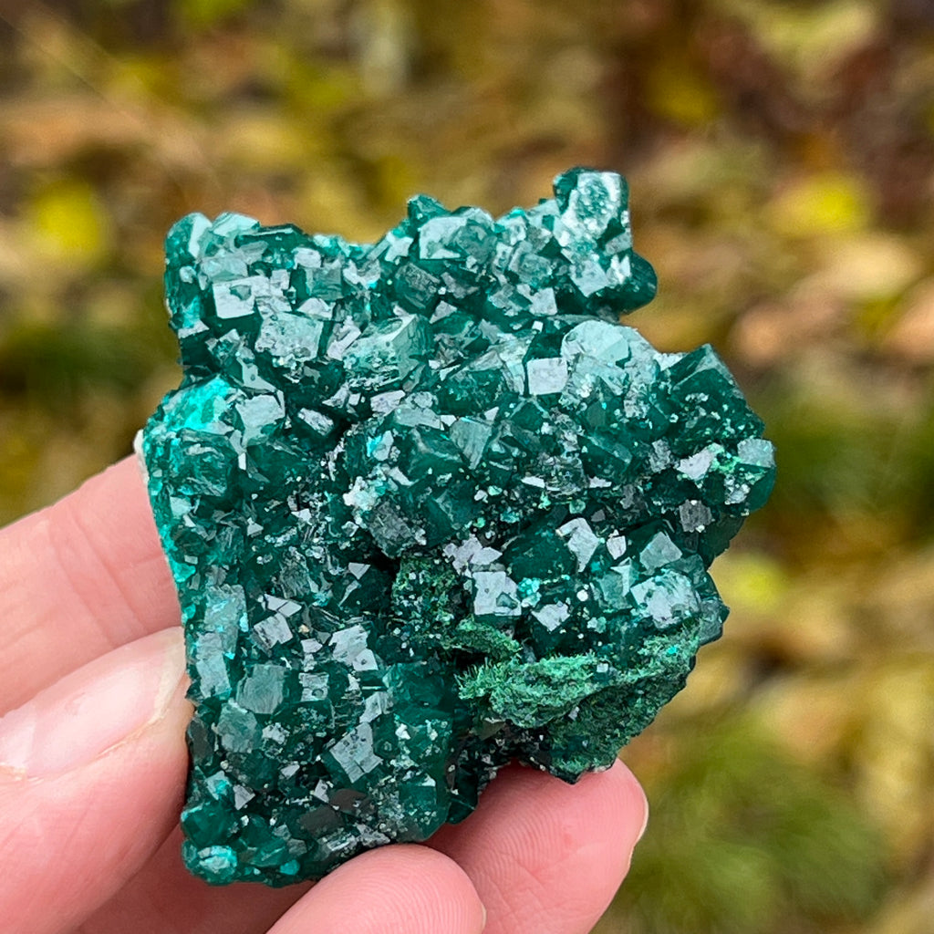 Dioptaz cluster din Congo model 7, pietre semipretioase - druzy.ro 2 