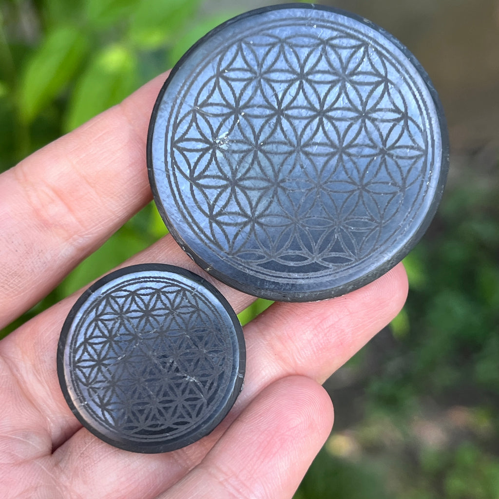 Disc din Shungit adeziv Flower of Life, pietre semipretioase - druzy.ro 9 