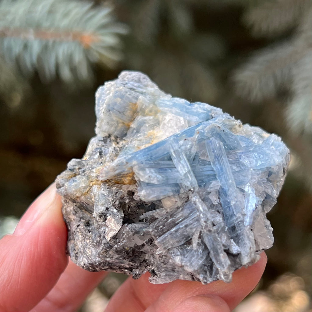 Kianit albastru (Cianit) piatra bruta din Zimbabwe model 7, druzy.ro, cristale 1