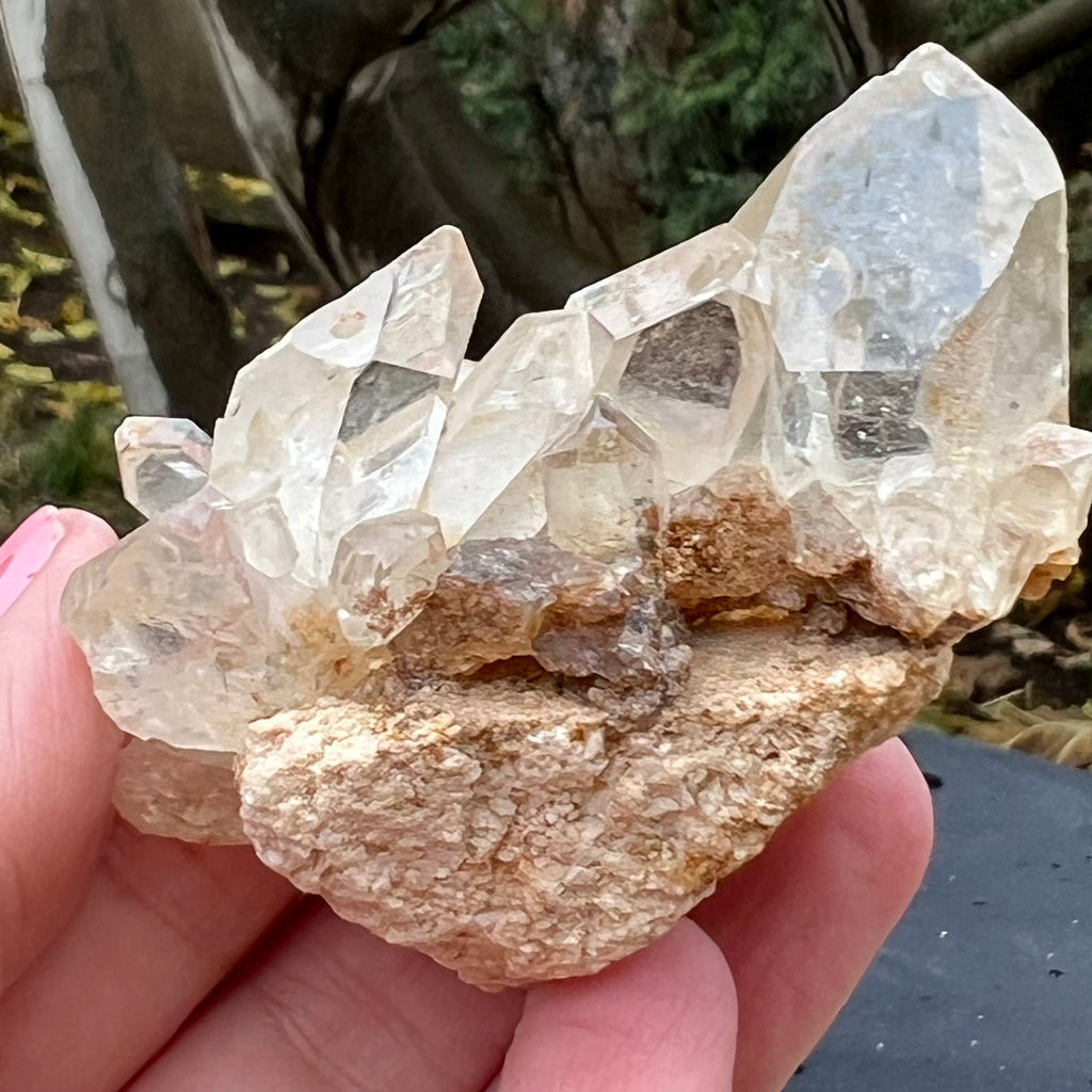 Cluster cuart incolor, floare de mina, cristal de stanca Zimbabwe m8, druzy.ro, cristale 1