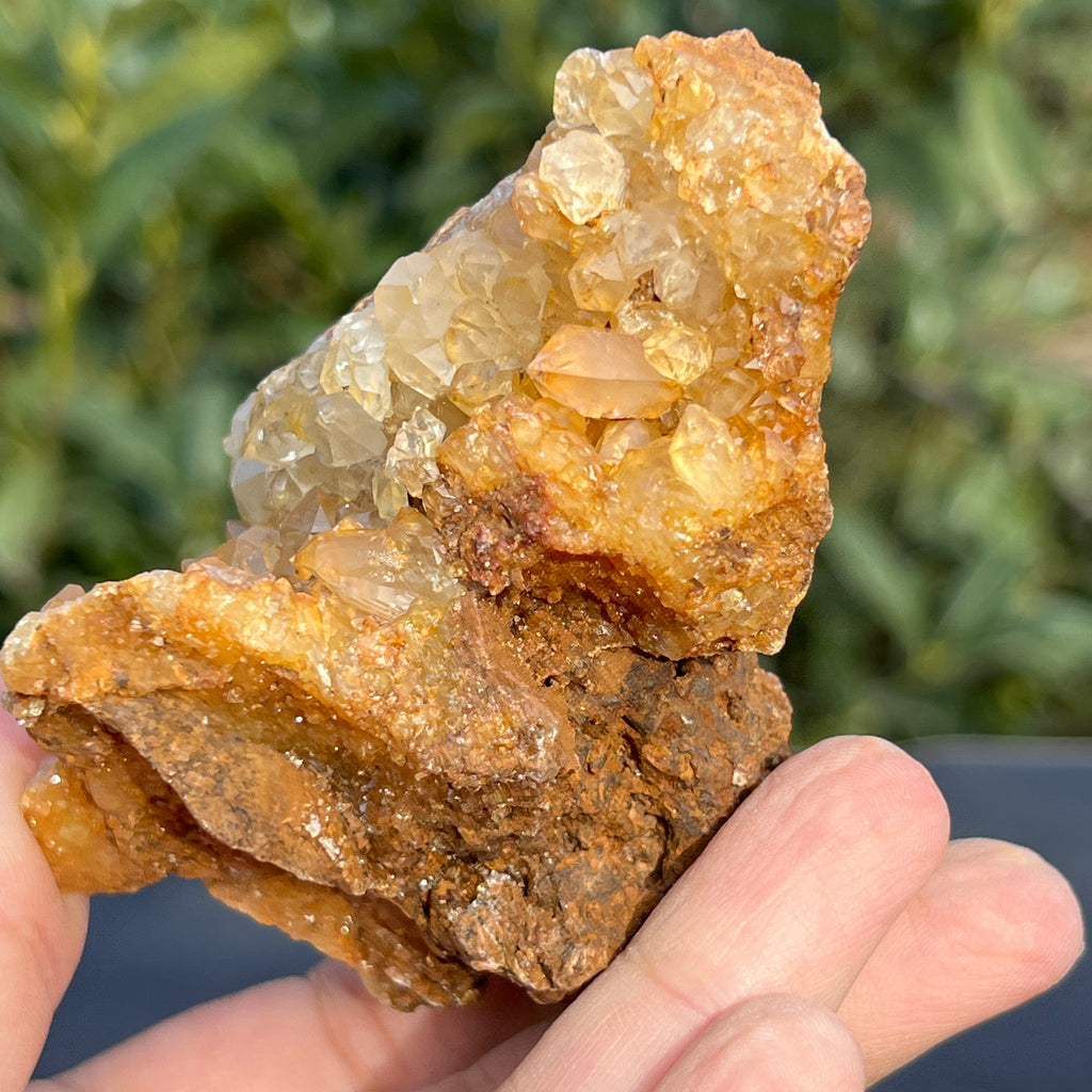 Cluster cuart lamaie Zambia, golden healer model 56, pietre semipretioase - druzy.ro 13 