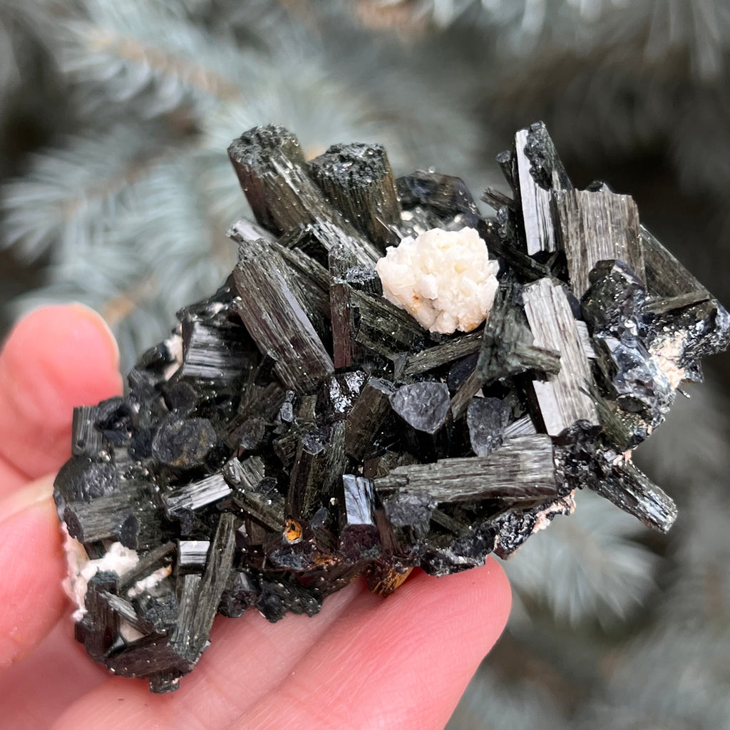 Cluster turmalina neagra model 2 din Erongo, Namibia, druzy.ro, cristale 1