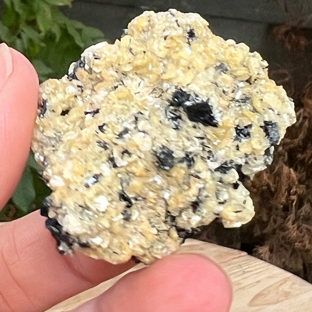 Cluster turmalina neagra cu vermiculita din Erongo m6, pietre semipretioase - druzy.ro 10 