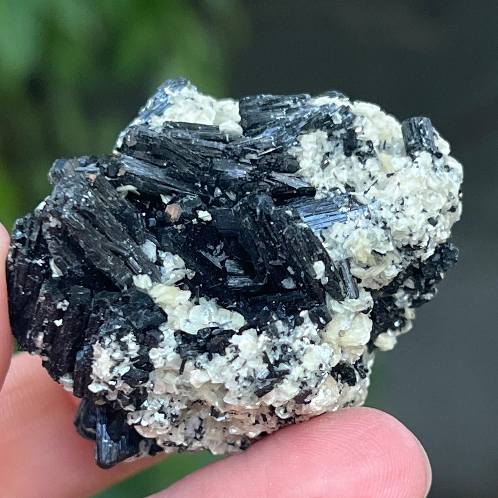 Cluster turmalina neagra cu vermiculita din Erongo m19, pietre semipretioase - druzy.ro 13 