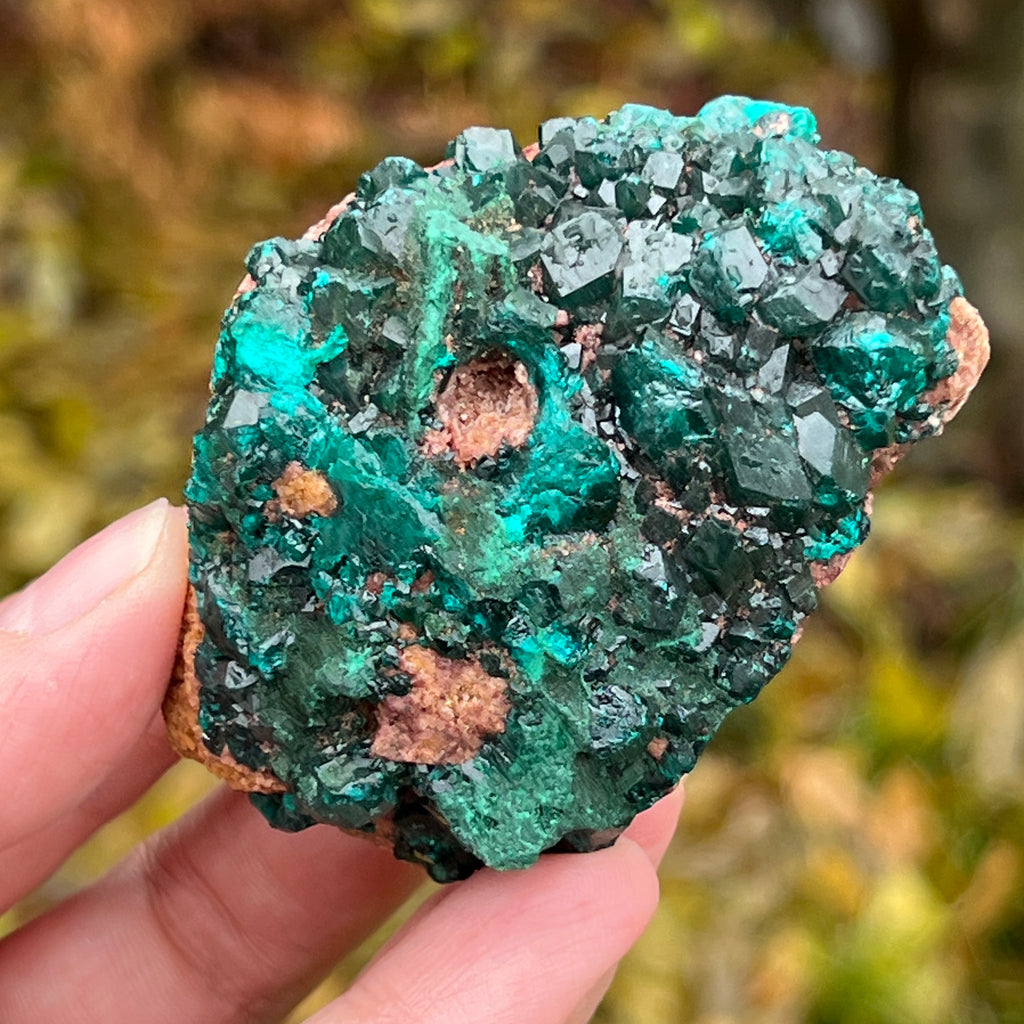 Dioptaz cluster din Congo model 12, pietre semipretioase - druzy.ro 2 