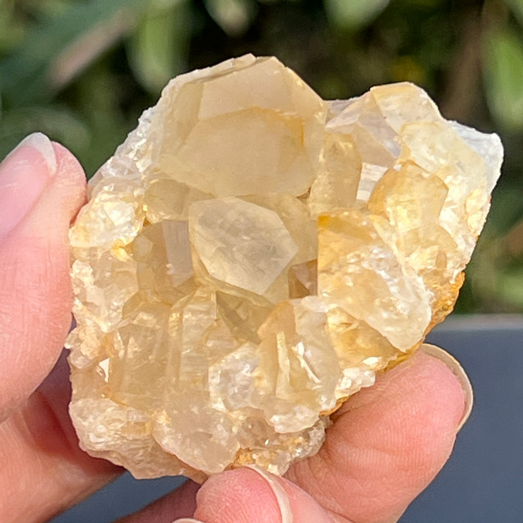 Cluster cuart lamaie Zambia, golden healer model 55, pietre semipretioase - druzy.ro 9 