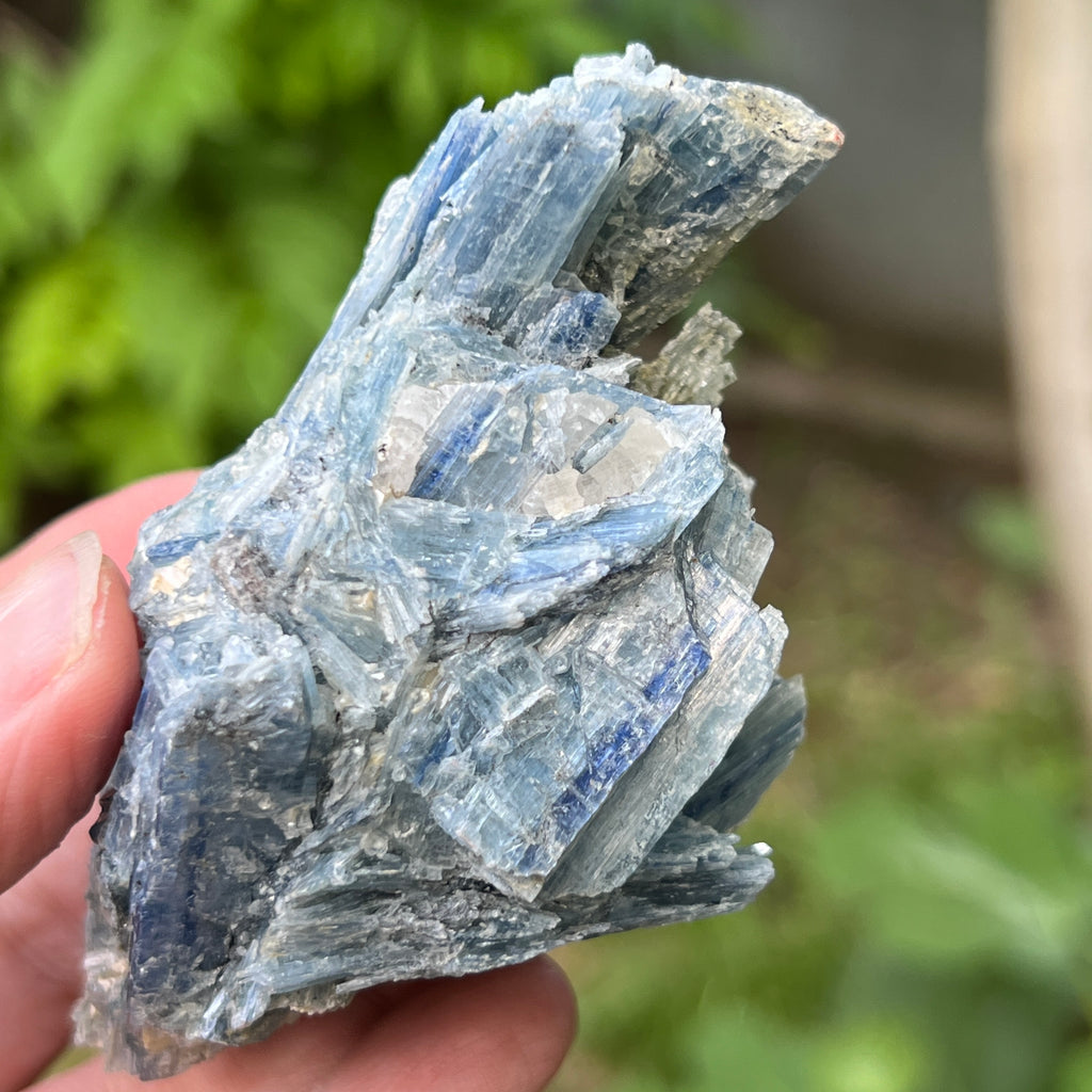 Kianit albastru (Cianit) piatra bruta din Zimbabwe model 13, pietre semipretioase - druzy.ro 6 