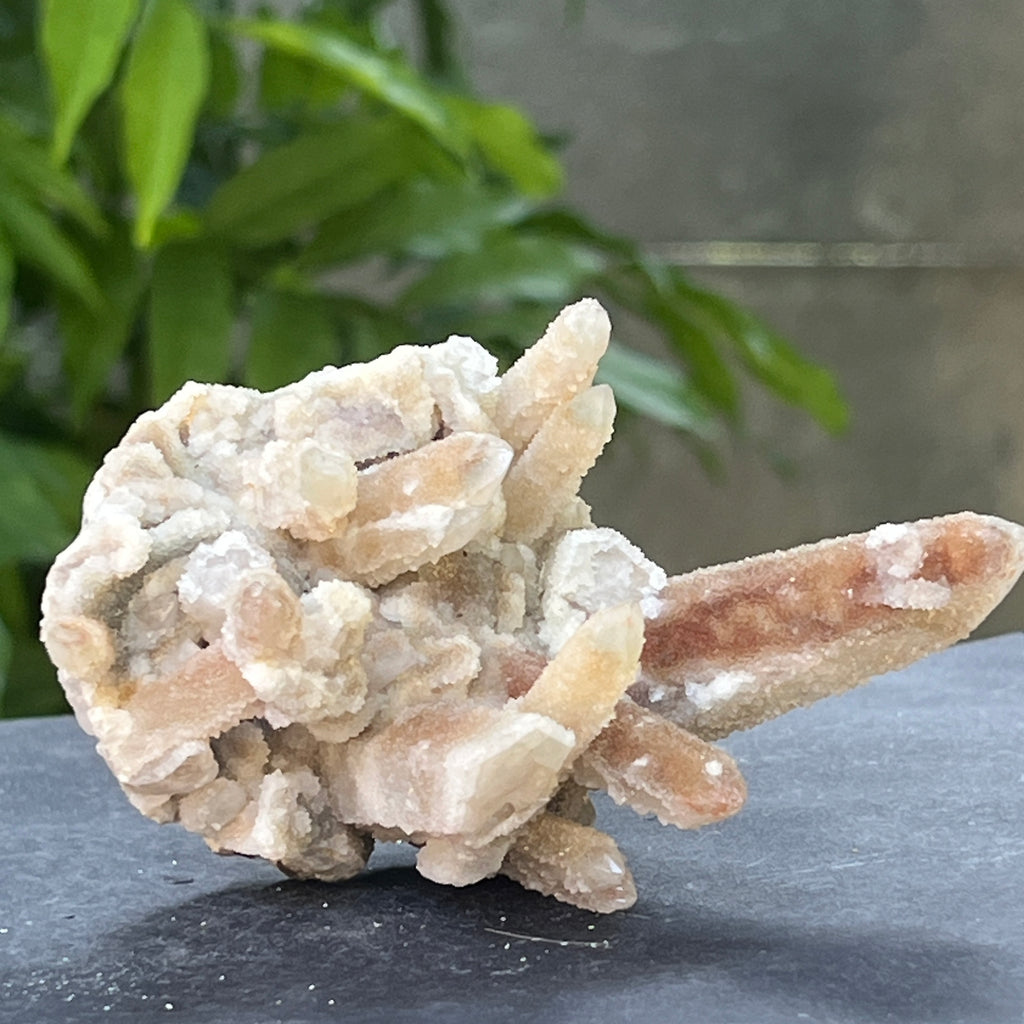Cluster cuart spirit stalactit | Model 3, pietre semipretioase - druzy.ro 5 