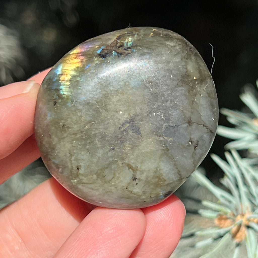 Labradorit palm stone m18, druzy.ro, cristale 3