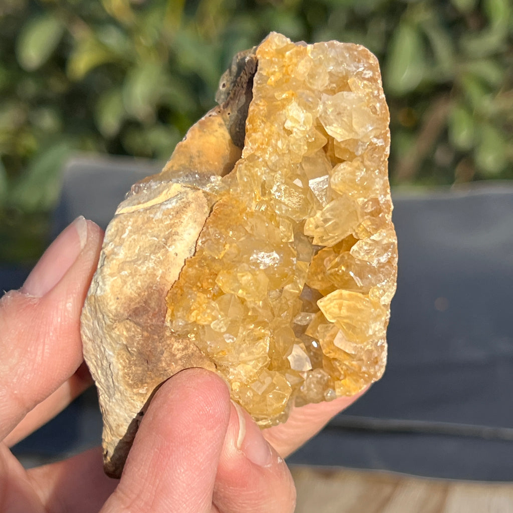 Cluster cuart lamaie Zambia, golden healer model 48, pietre semipretioase - druzy.ro 4 