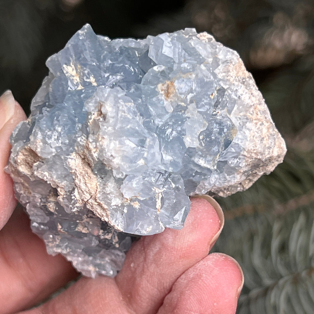 Celestit / celestina cluster m8, pietre semipretioase - druzy.ro 2 