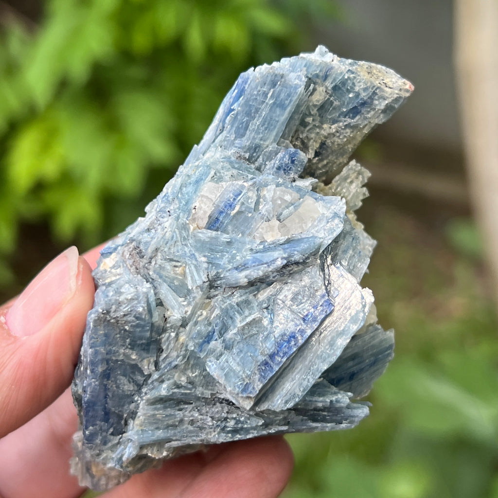 Kianit albastru (Cianit) piatra bruta din Zimbabwe model 13, pietre semipretioase - druzy.ro 8 