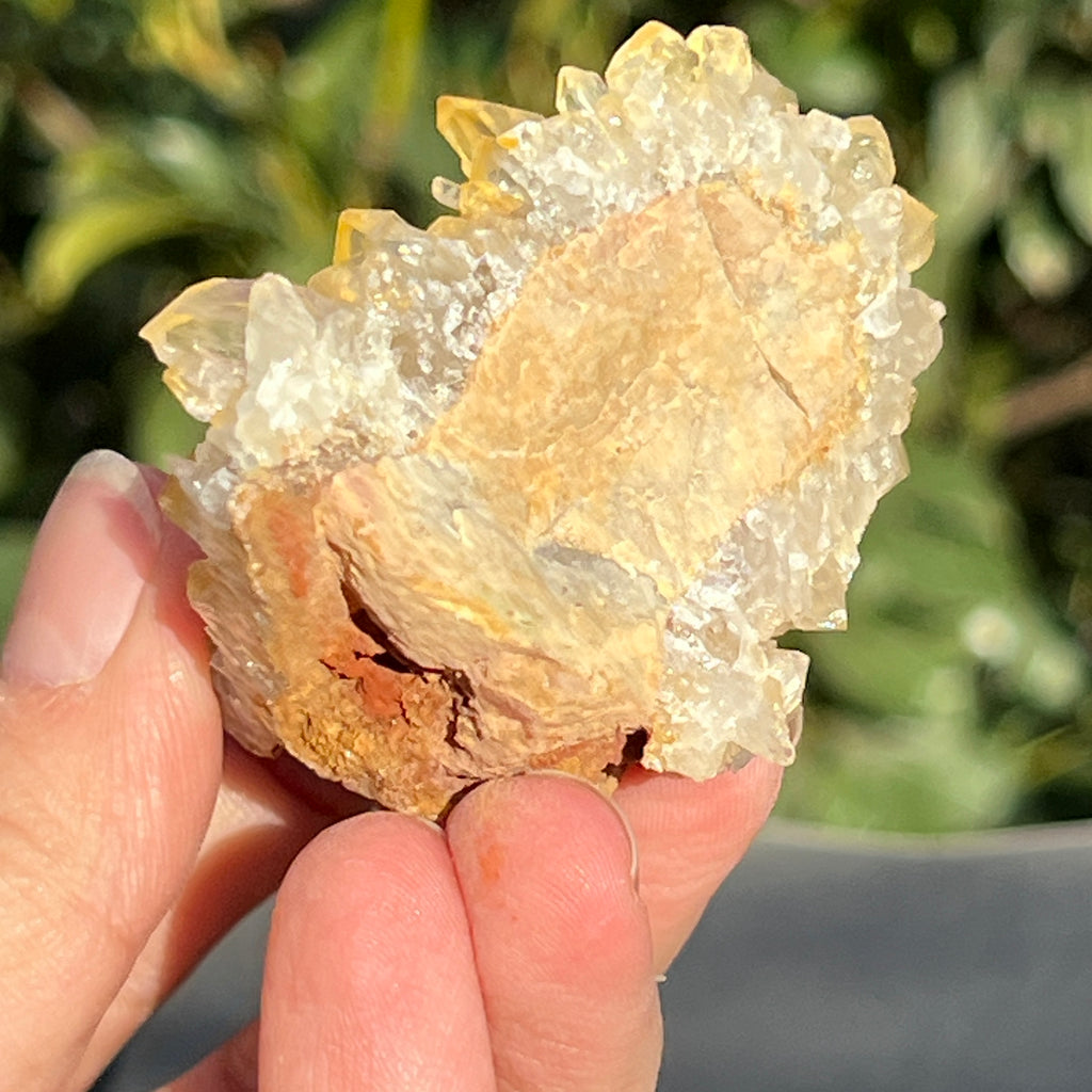 Cluster cuart lamaie Zambia, golden healer model 44, pietre semipretioase - druzy.ro 8 