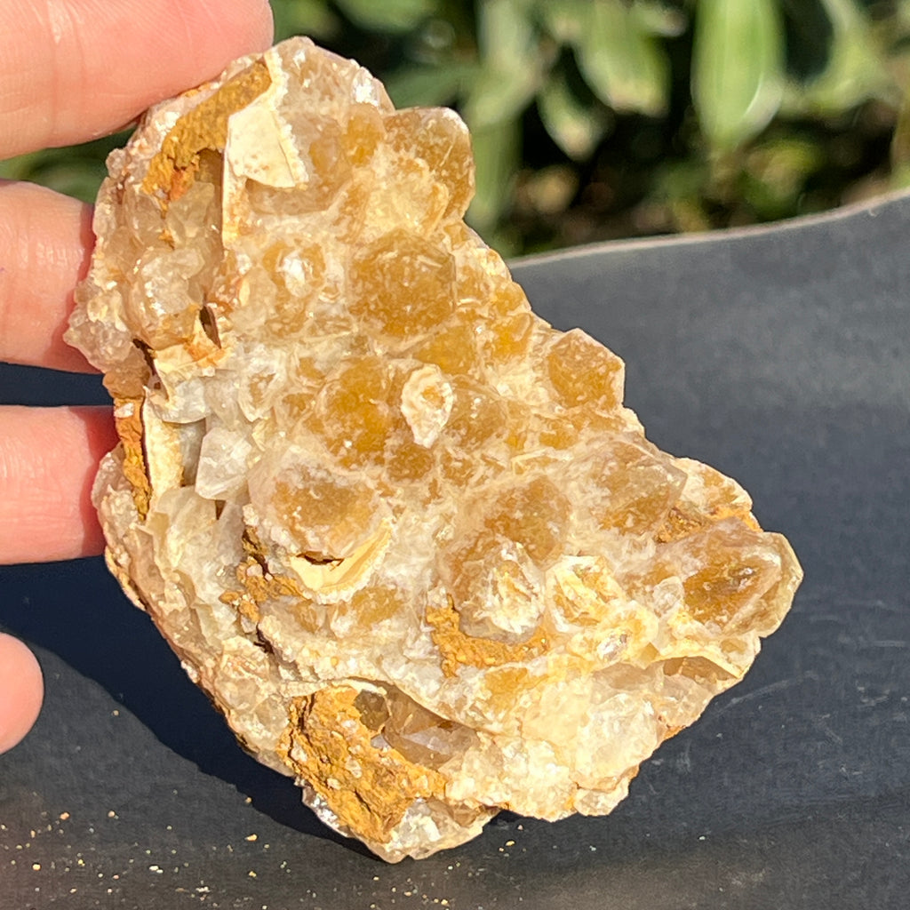 Cluster cuart lamaie Zambia, golden healer model 36, pietre semipretioase - druzy.ro 6 