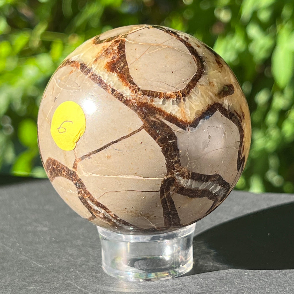 Septaria sfera 6.5 cm model 3, druzy.ro, cristale 6