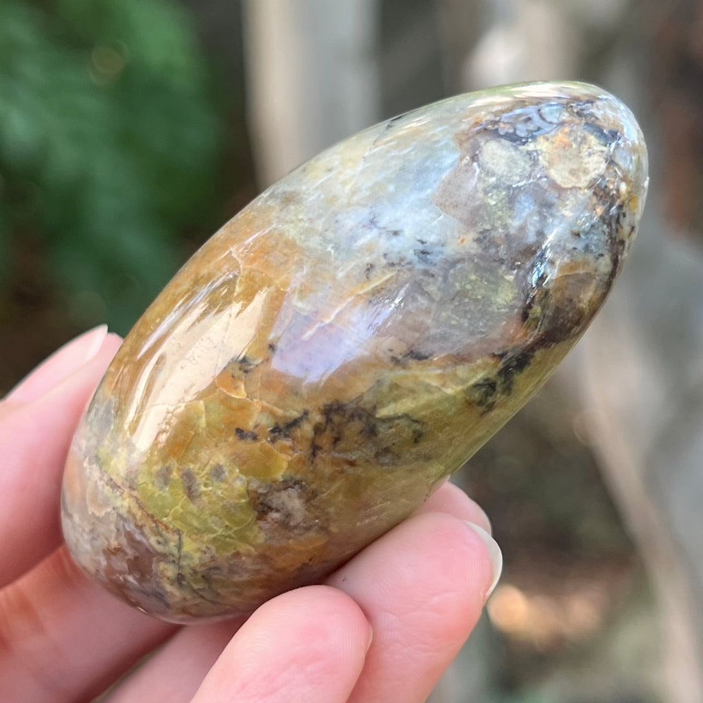 Opal verde palmstone m5, pietre semipretioase - druzy.ro 5 