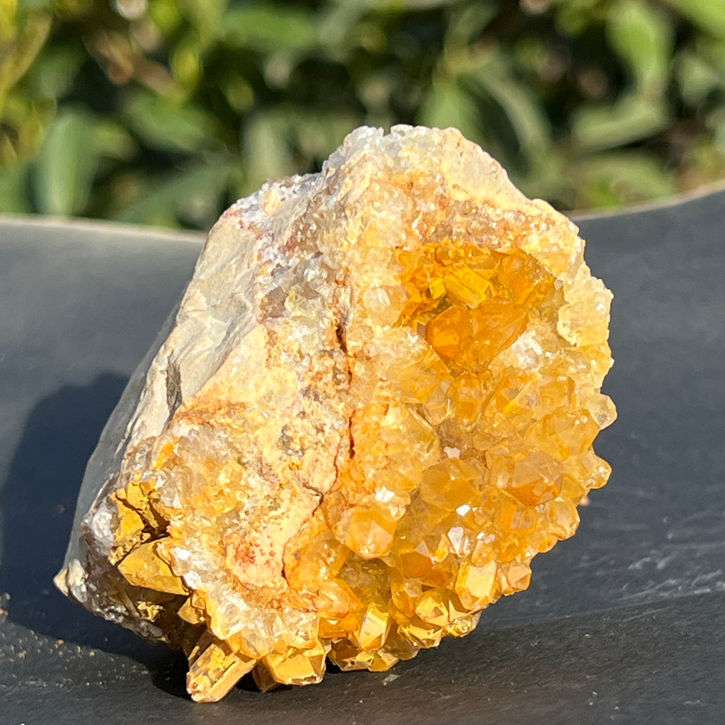 Cluster cuart lamaie Zambia, golden healer model 50, pietre semipretioase - druzy.ro 7 