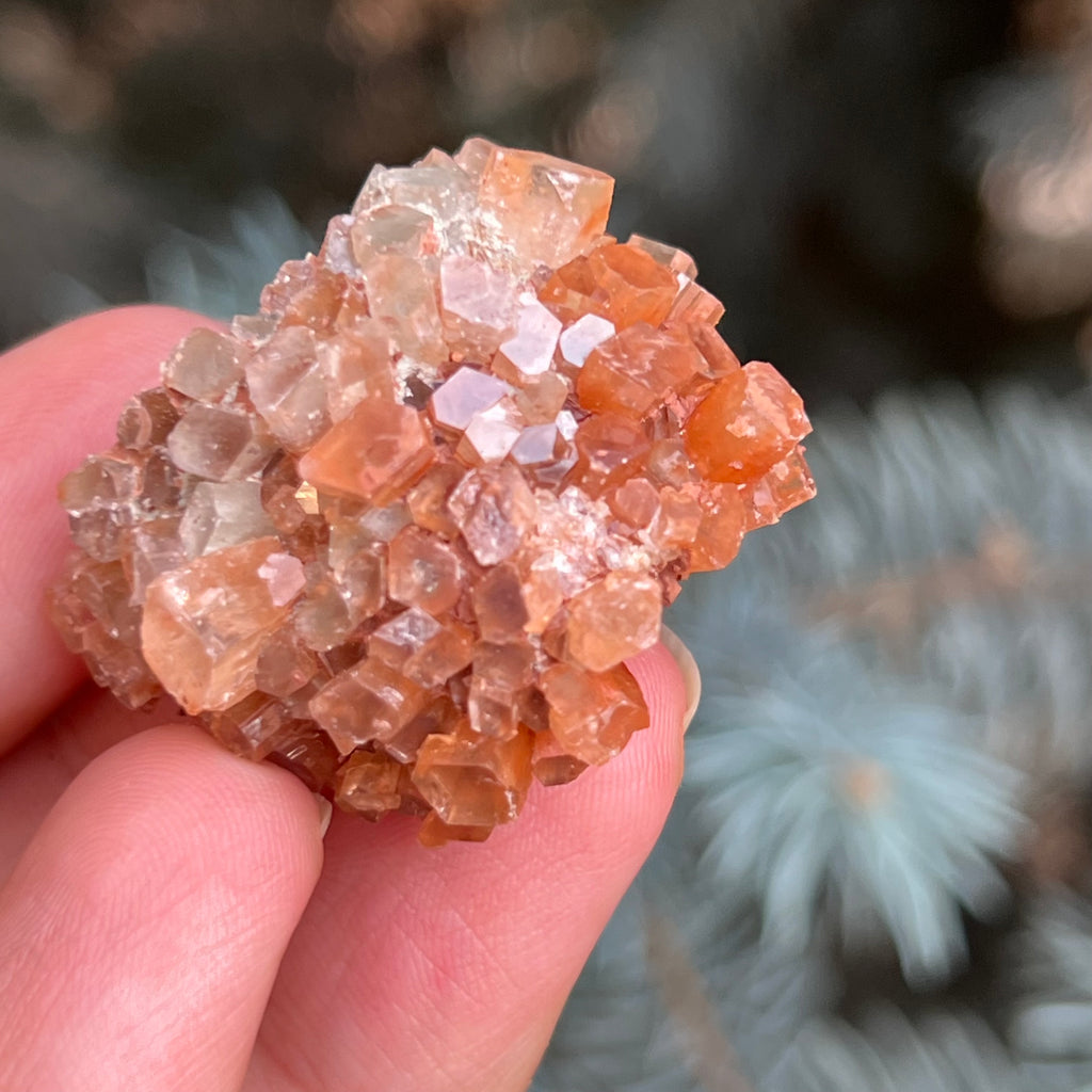 Cluster cristal aragonit din Maroc model 10, druzy.ro, pietre semipretioase 4