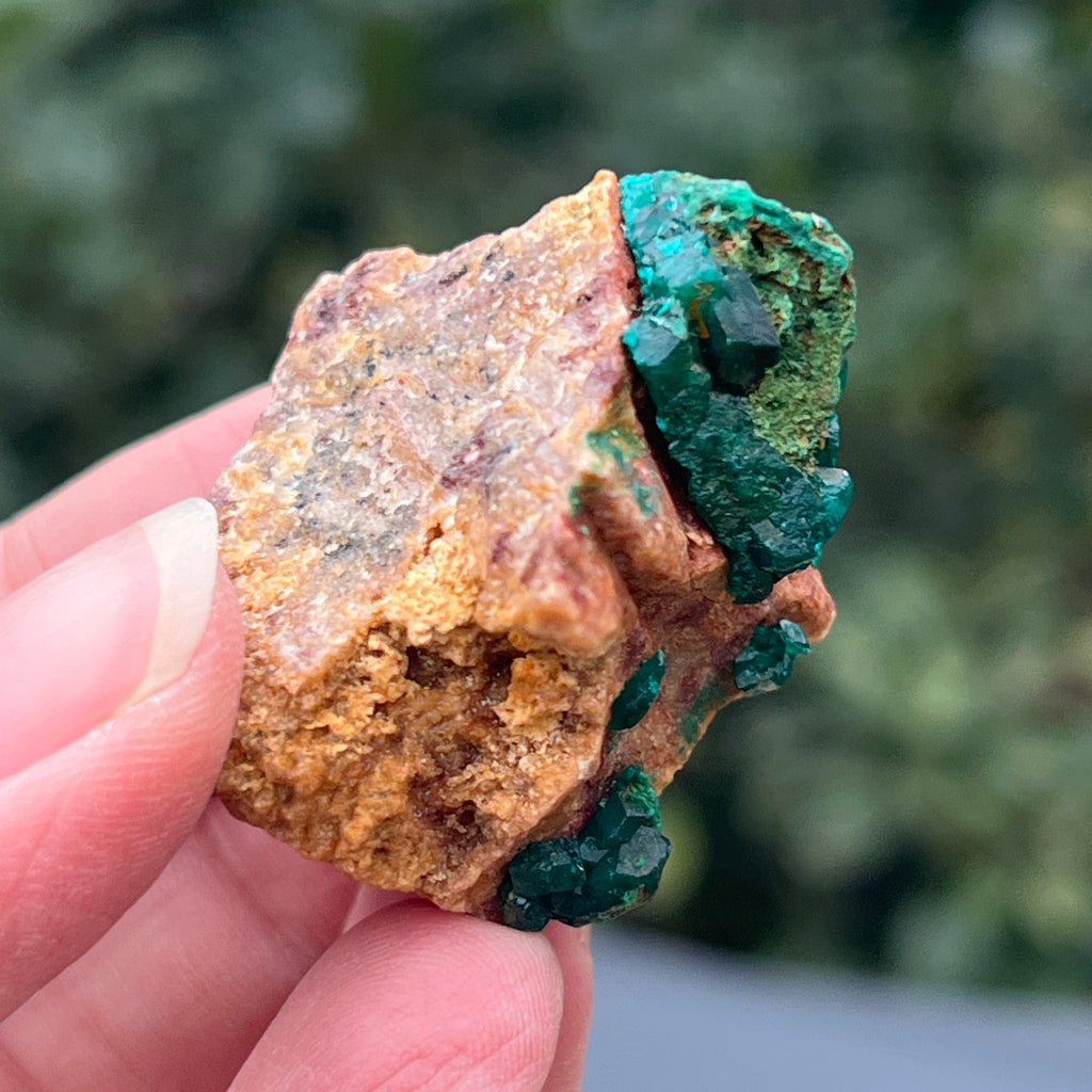 Dioptaz cluster din Congo model 25, pietre semipretioase - druzy.ro 4 