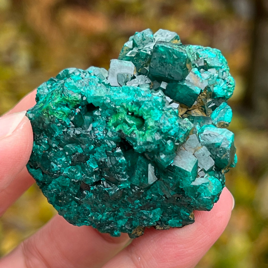 Dioptaz cluster din Congo model 10, pietre semipretioase - druzy.ro 5 