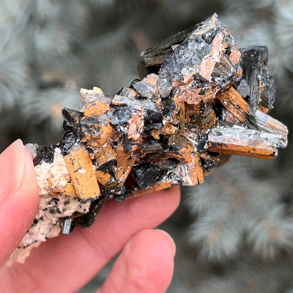 Cluster turmalina neagra model 5 din Erongo, Namibia, druzy.ro, cristale 3