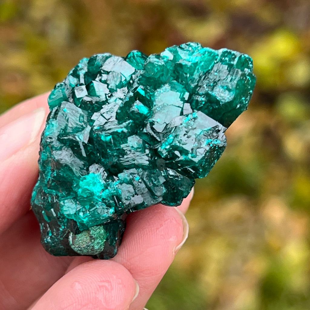 Dioptaz cluster din Congo model 5, pietre semipretioase - druzy.ro 2 