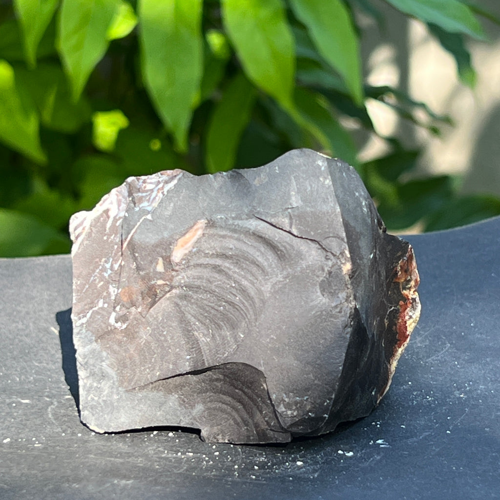 Onix negru piatra bruta India model 4, pietre semipretioase - druzy.ro 2 