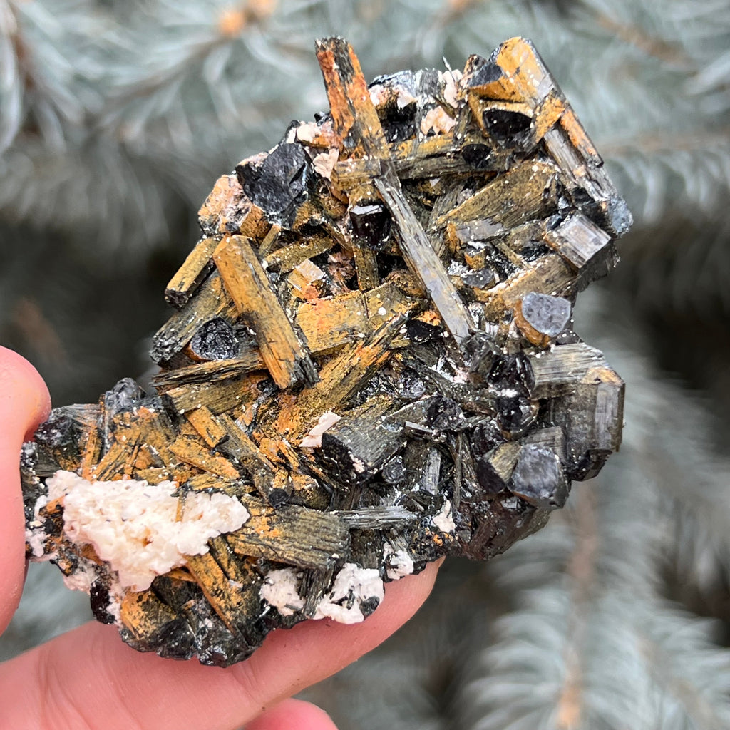 Cluster turmalina neagra model 2 din Erongo, Namibia, druzy.ro, cristale 4