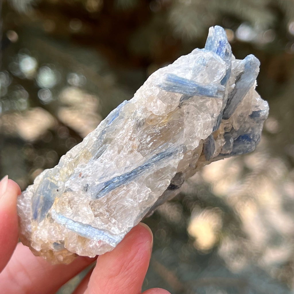 Kianit albastru (Cianit) piatra bruta din Zimbabwe model 12, druzy.ro, cristale 3