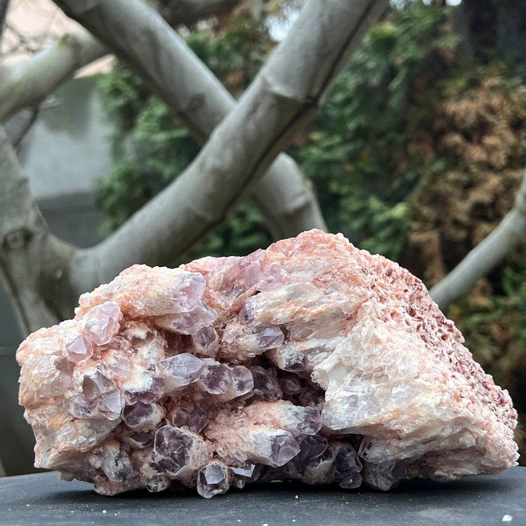 Cluster ametist sweet model 3 din Zambia, druzy.ro, cristale 1