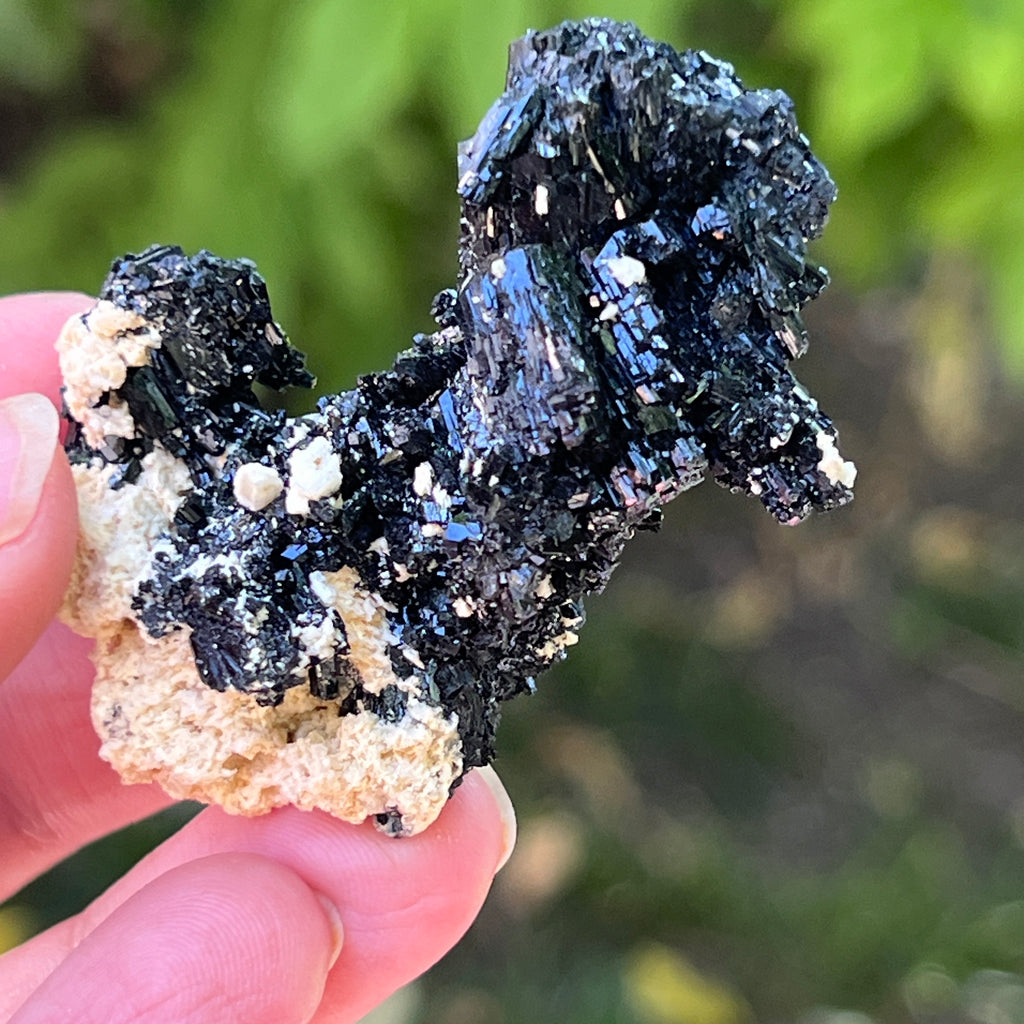 Cluster turmalina neagra model 17 din Erongo, Namibia, pietre semipretioase - druzy.ro 1 