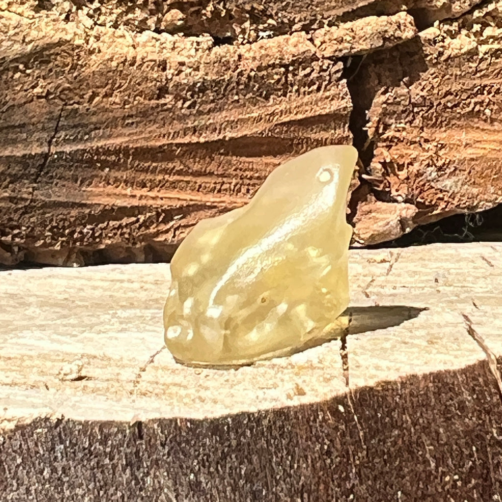 Tectita aurie sticla desertului Libia piatra bruta model 8, calitate AAA, pietre semipretioase - druzy.ro 6 