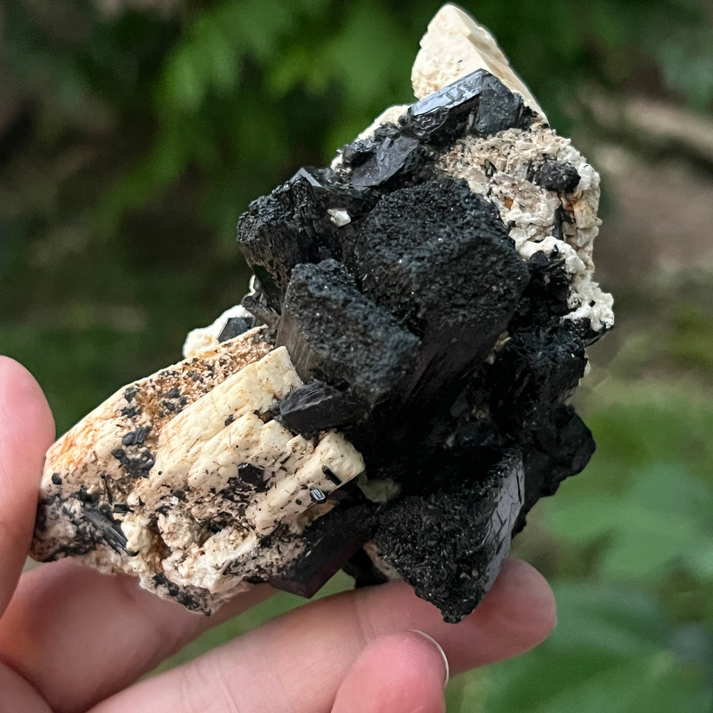 Cluster turmalina neagra model 1 din Erongo, Namibia, pietre semipretioase - druzy.ro 8 
