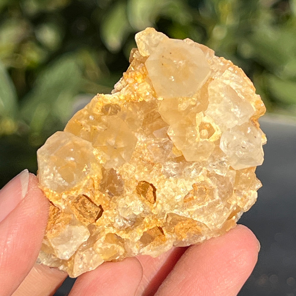 Cluster cuart lamaie Zambia, golden healer model 43, pietre semipretioase - druzy.ro 4 