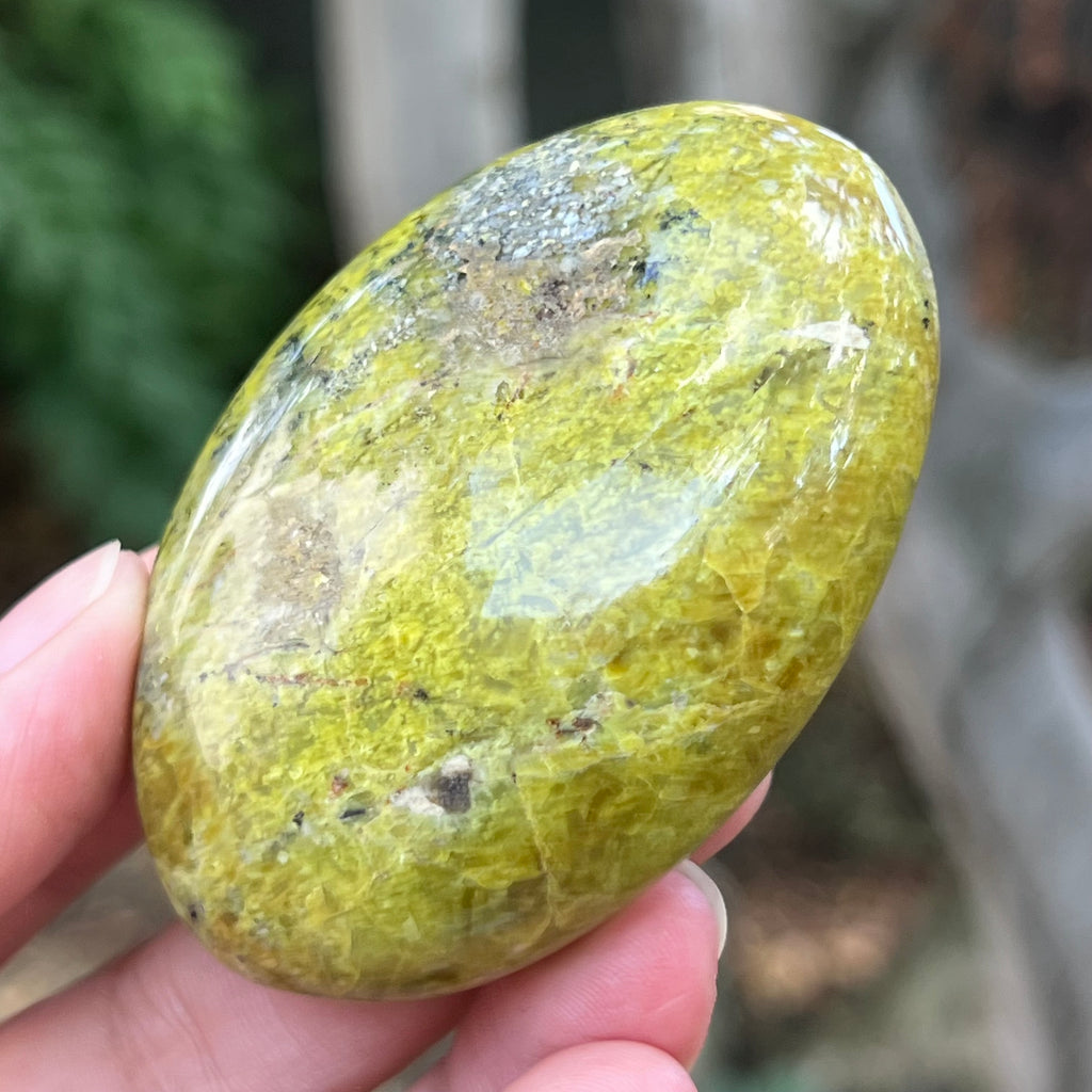 Opal verde palmstone m2, pietre semipretioase - druzy.ro 3 