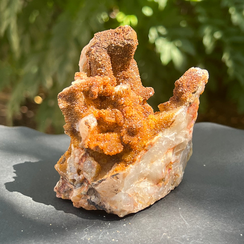 Cluster cuart lamaie, golden healer 4A/4, Africa de Sud, druzy.ro, pietre semipretioase 3