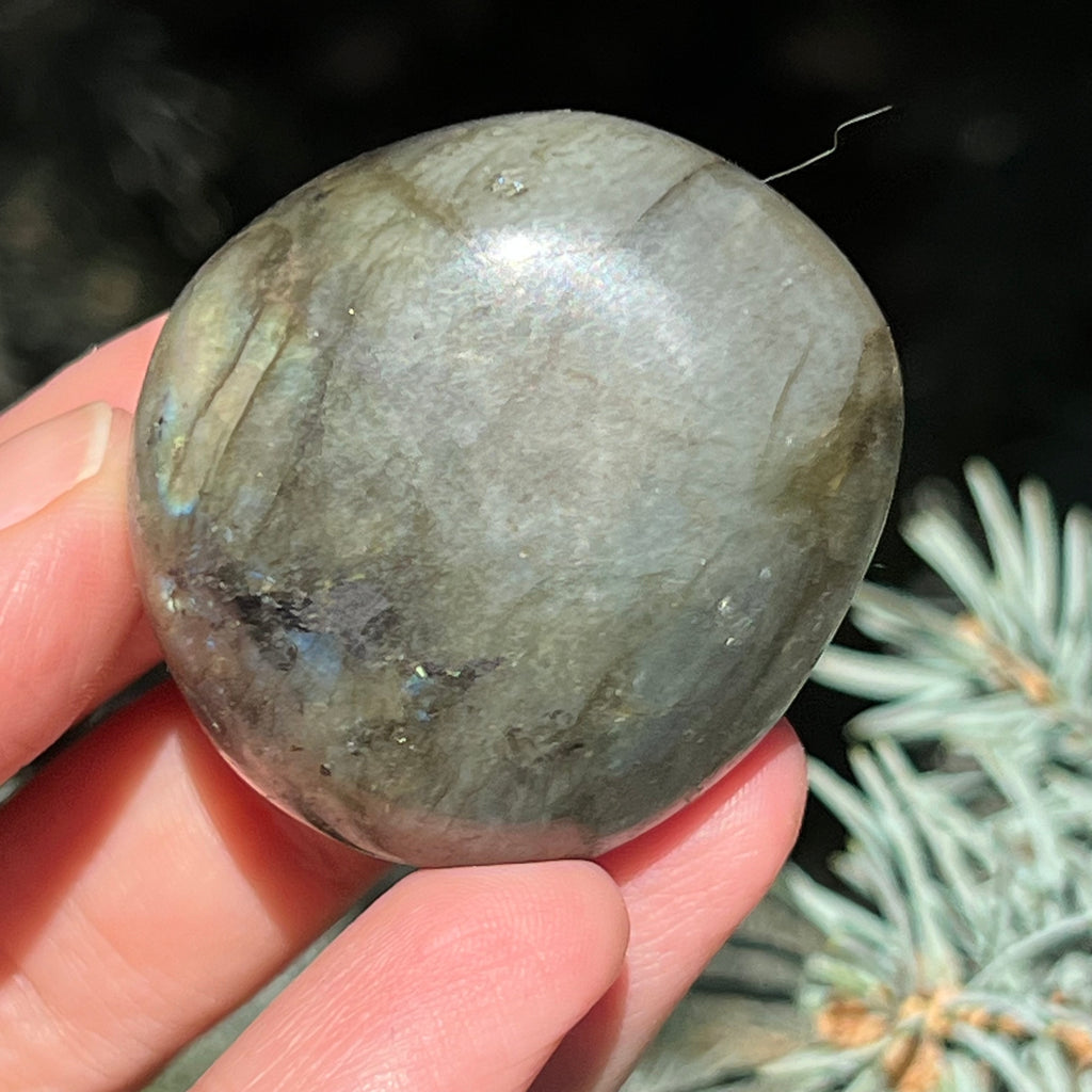 Labradorit palm stone m18, druzy.ro, cristale 6