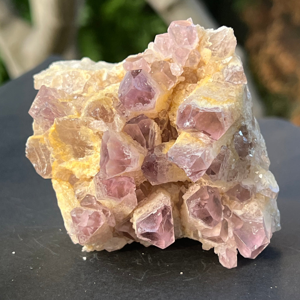 Cluster ametist sweet model 5a/3, din Zambia, pietre semipretioase - druzy.ro 1