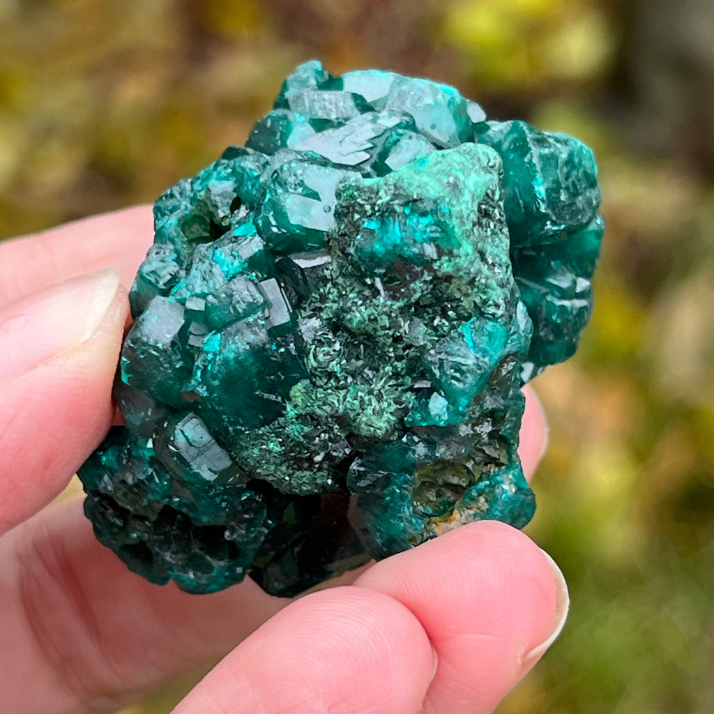 Dioptaz cluster din Congo model 6, pietre semipretioase - druzy.ro 12 